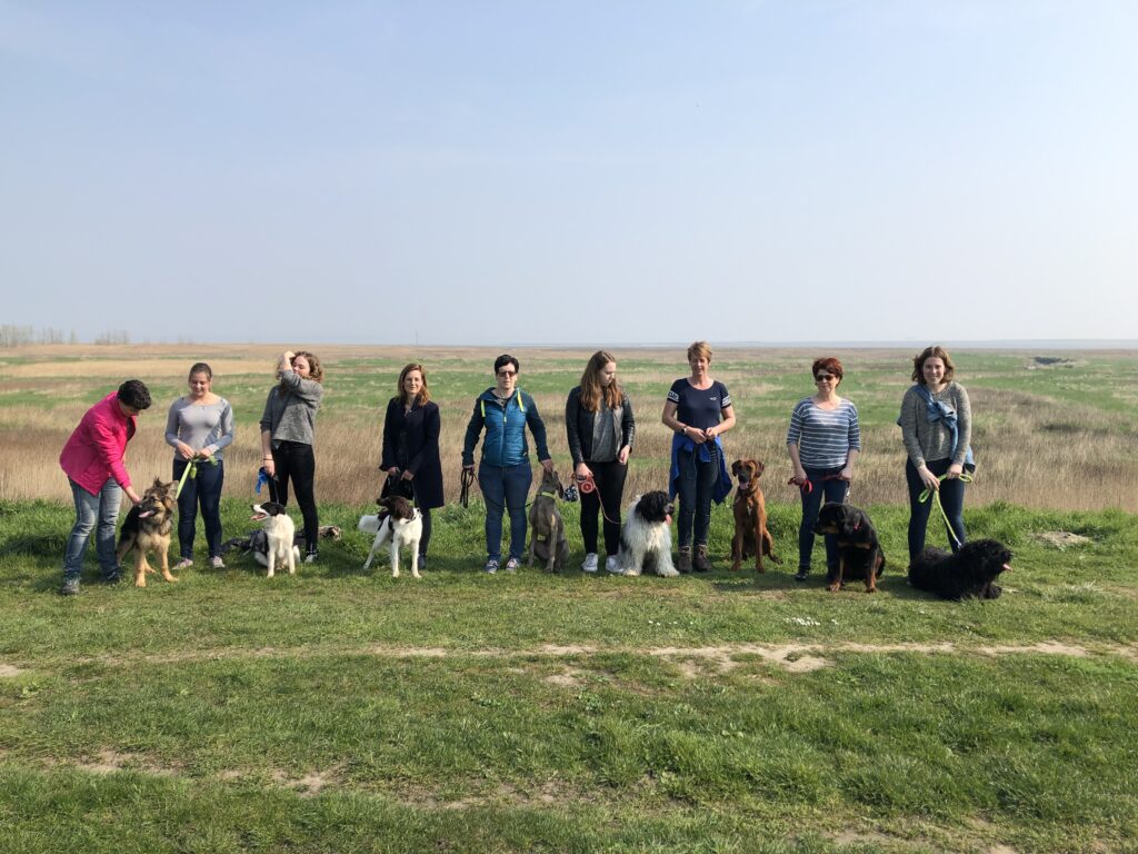 Wandeling Hondenschool Hulst 7 april 2019